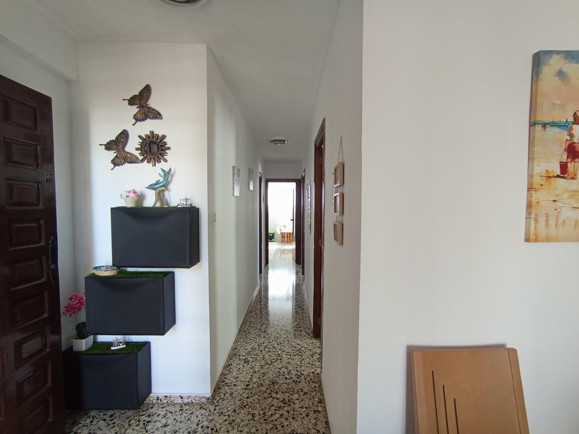 Apartamento 3 Paupi Oliva Dış mekan fotoğraf