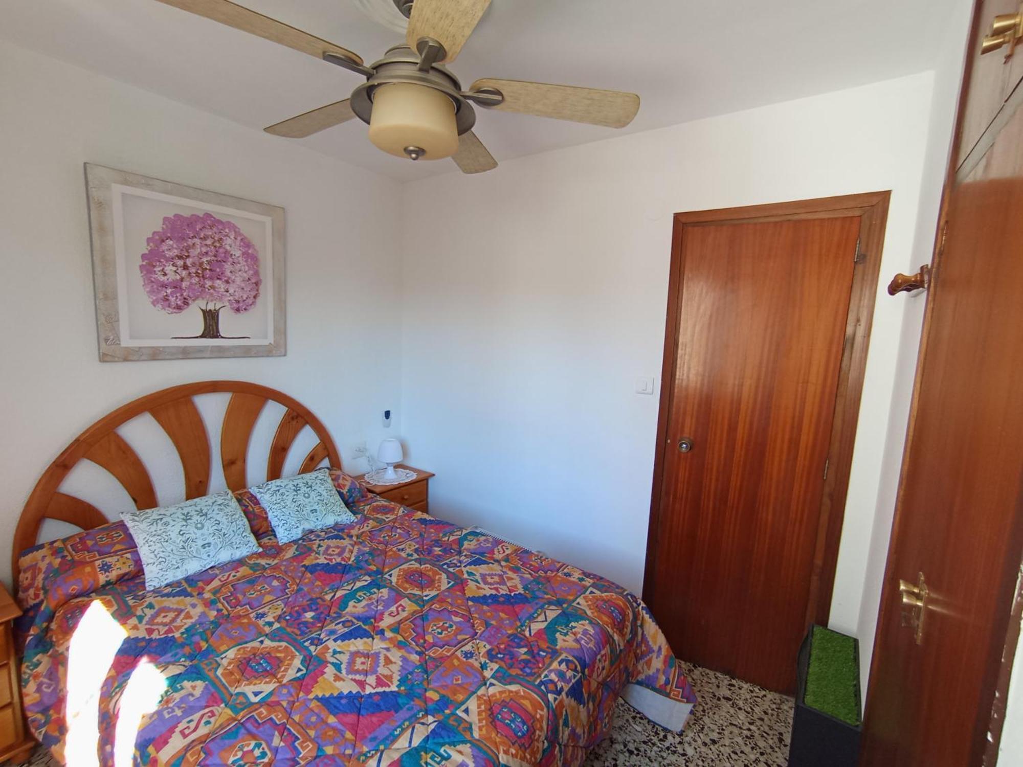 Apartamento 3 Paupi Oliva Dış mekan fotoğraf